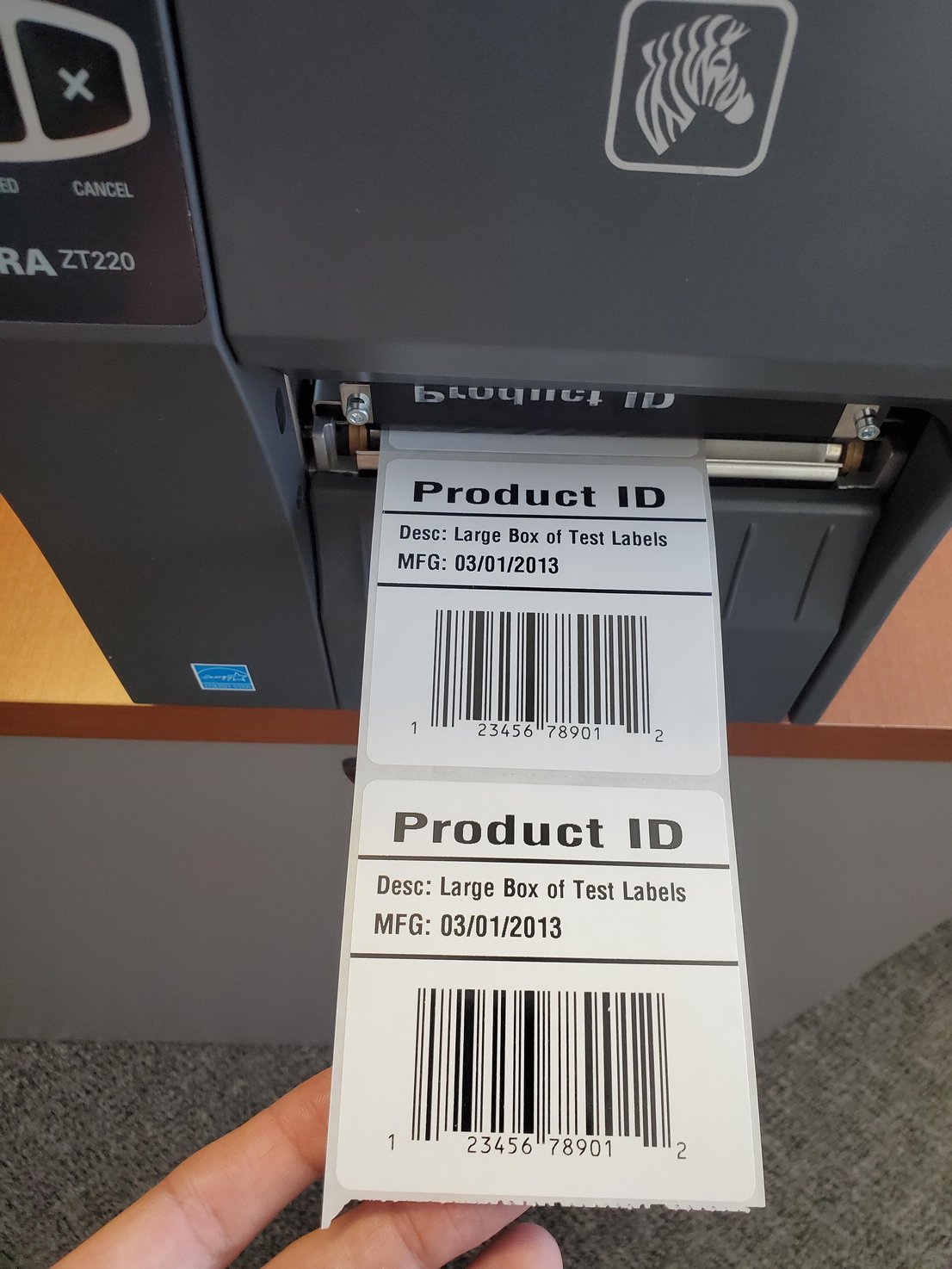 Beginner's guide to label software. Walkthrough creating your first