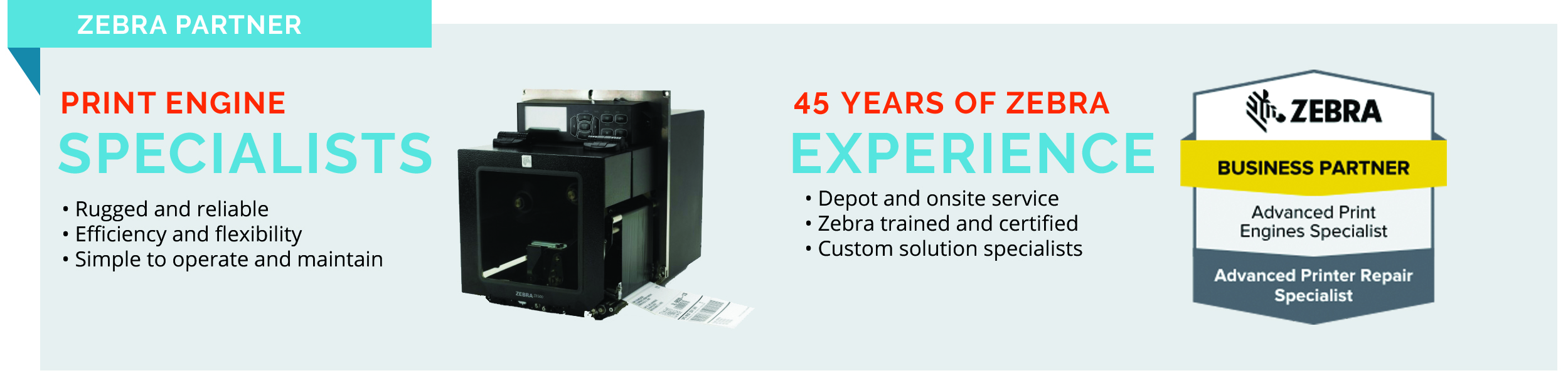 Zebra Partner Zebra Partner